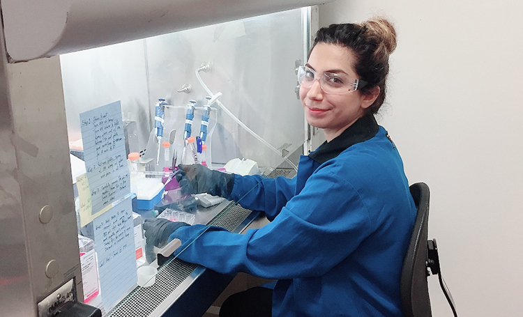 Dr. Arezoo Shahrivarkevishahi, PhD'21, works on developing immunophotothermal agents in the lab.