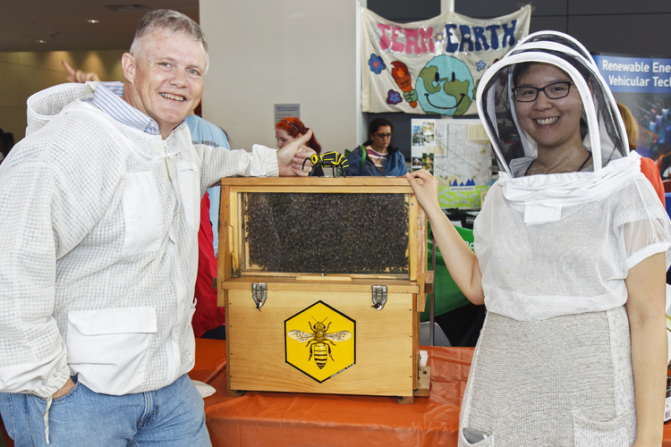 professor-students-bees-have-dallas-buzzing